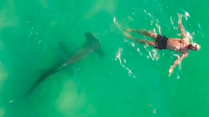   Hombre nadó de espaldas sin darse cuenta de que lo acechaba un tiburón 