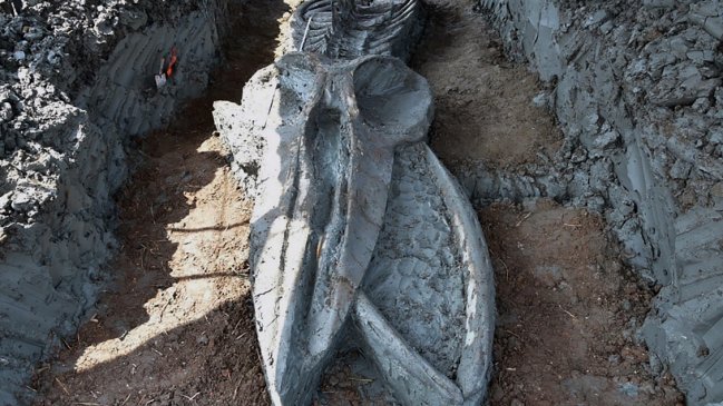 Descubren el fósil casi intacto de una ballena de al menos 3.000 años en Tailandia