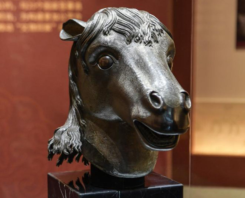 Imagen foto_00000012