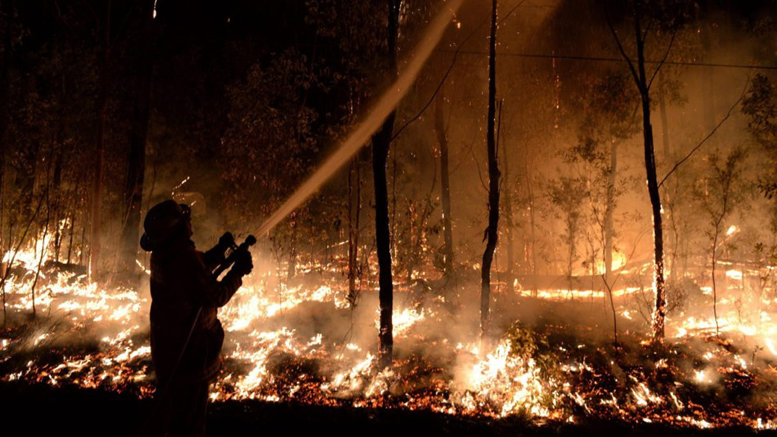 El 81% de los afectados por incendios forestales en 2016-2017 en O'Higgins ha recibo su pago compensatorio