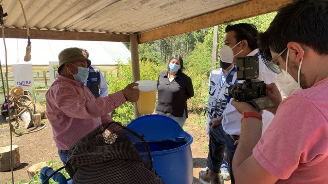 Entregan recursos a más de 400 agricultores de Arauco