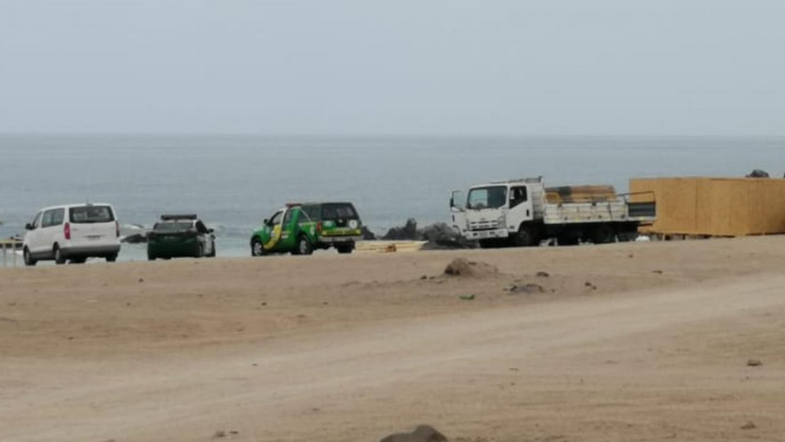 Toma de terreno en Punta Itata pone en riesgo nidificación del Gaviotín Chico