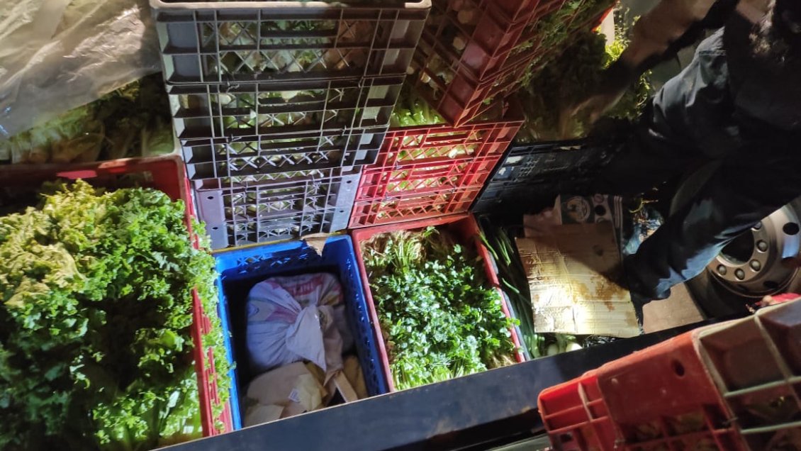 Agricultor intentó camuflar más de 20 kilos de droga en cajas de verduras