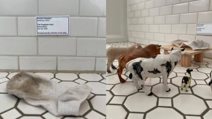   Dejó calcetín tirado en el baño por una semana y su madre lo convirtió en una 