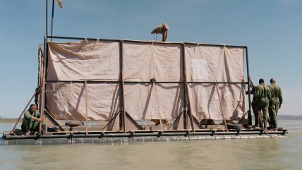   Rescate contrarreloj: Jirafas quedan atrapadas en isla por inundaciones en Kenia 