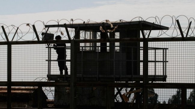 Detectan droga al interior de un tronco: Su destino era un interno de la cárcel de Quirihue