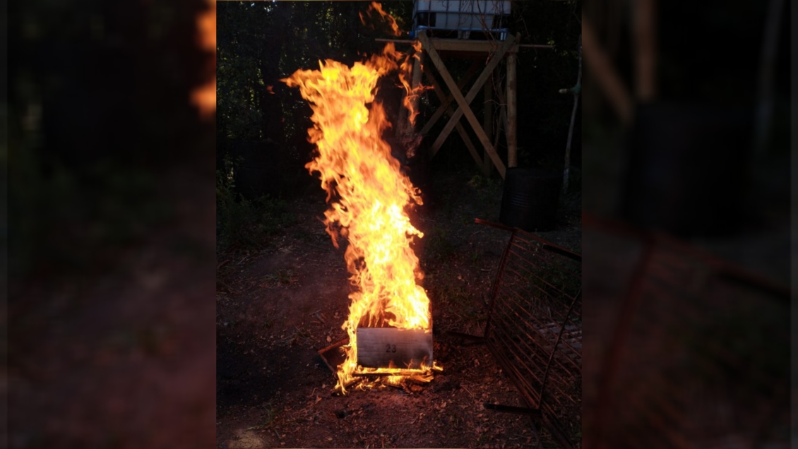 Apicultor denuncia que fumigación lo obligó a quemar 2,5 millones de abejas