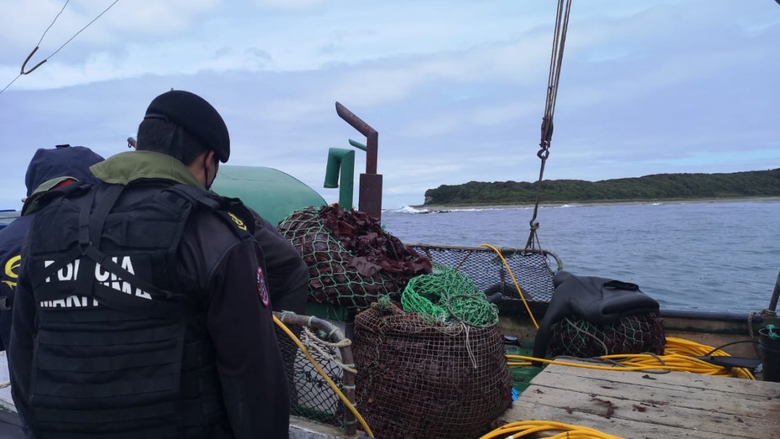 Embarcaciones fueron sorprendidas extrayendo algas de manera ilegal en Aysén