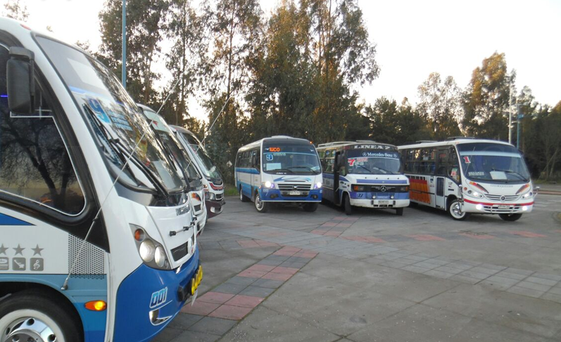 Tribunal de Libre Competencia estableció colusión de diez líneas de microbuses en la Araucanía