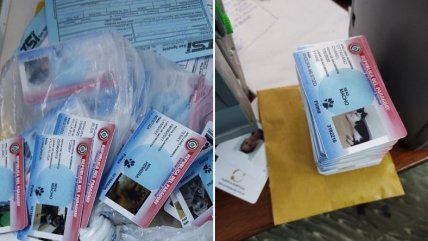  Allanamiento a tienda de carnets para mascotas desató burlas  