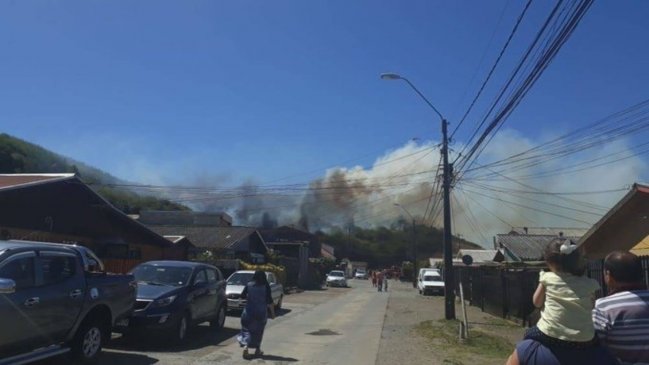 Incendio forestal afecta al cerro Macera de Talcahuano