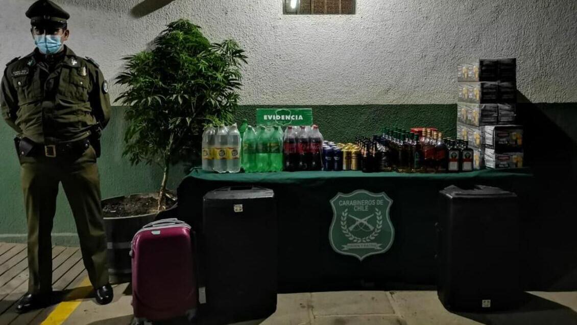 Fiesta clandestina en Pichilemu dejó 26 detenidos
