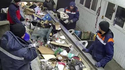   Gatito rescatado de ser triturado en la basura es nombrado viceministro en Rusia 