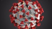 Un año de coronavirus deja 82 millones de contagios y 1,8 millones de muertos  