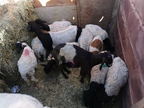 Imagen foto_00000001