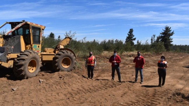 Ñuble suma 200 kilómetros de cortafuegos contra incendios forestales