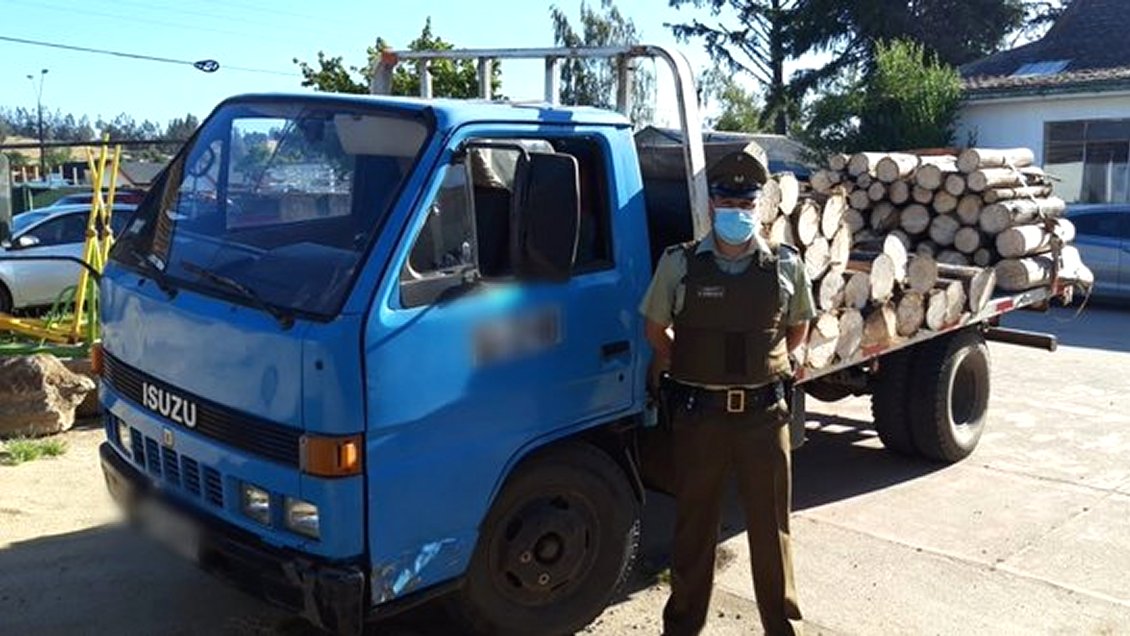 Dos detenidos por robo de madera en Traiguén: Incautan camión y una motosierra