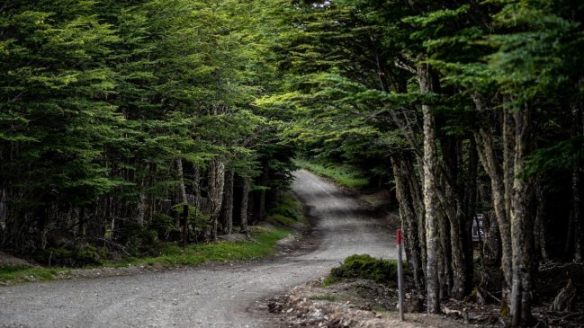Anuncian reapertura de áreas silvestres protegidas en Punta Arenas
