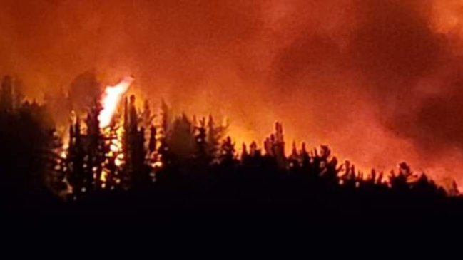 Nacimiento en alerta roja por incendio forestal activo desde este jueves