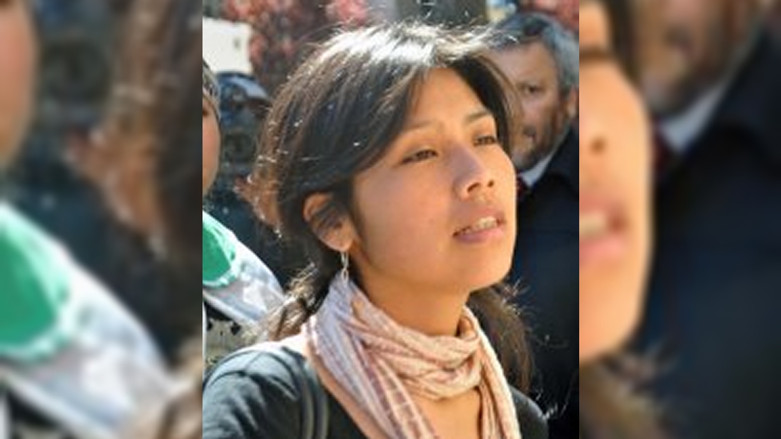 Natividad Llanquileo y candidatura constituyente: Tiene que quedar establecida la plurinacionalidad del Estado