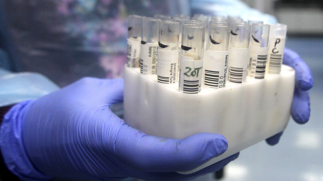 Puerto Montt, Iquique y Antofagasta son las comunas con más casos activos de Covid en Chile