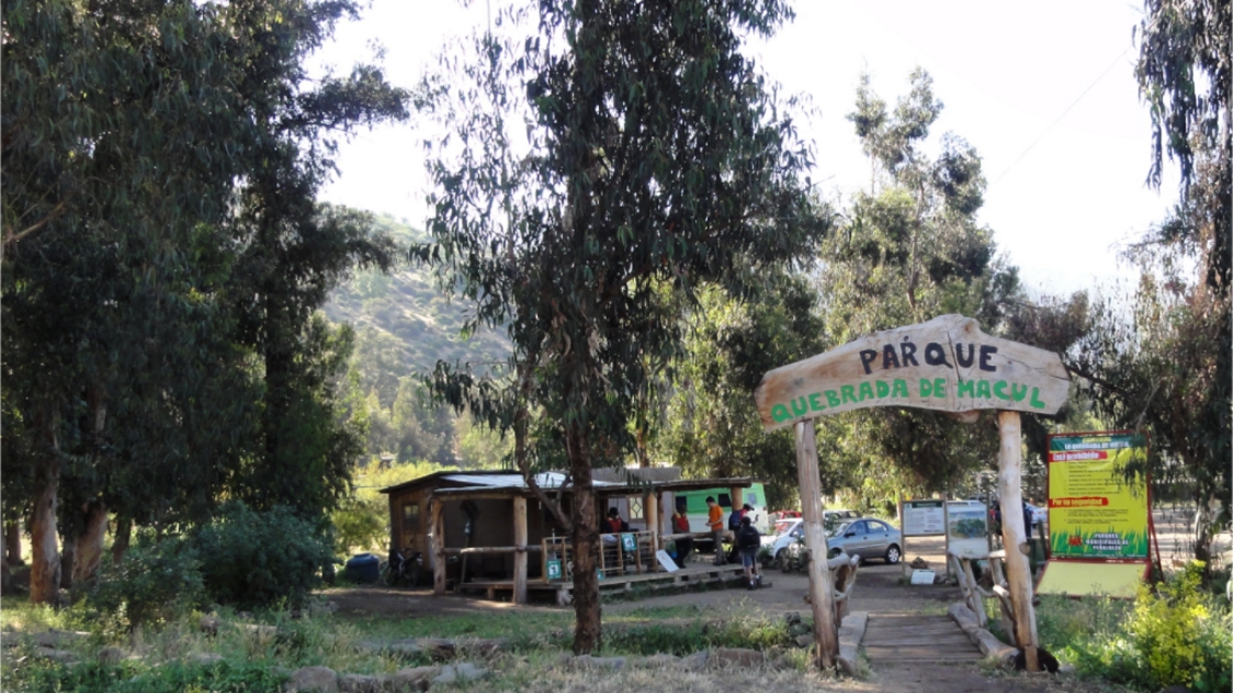 Pícnics en plena cuarentena: 53 detenidos en el Parque Quebrada de Macul