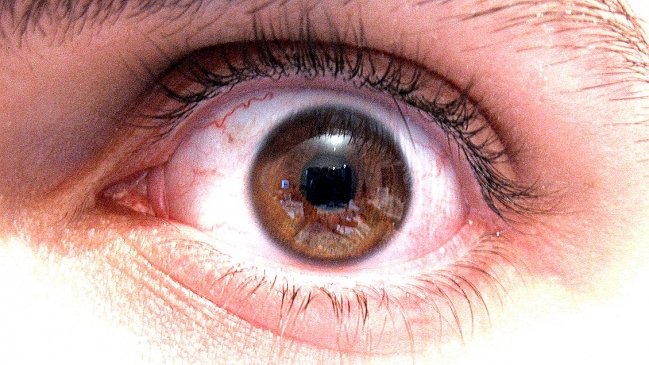 Sujeto afirma que mató a su pareja e hijo de cuatro años por 