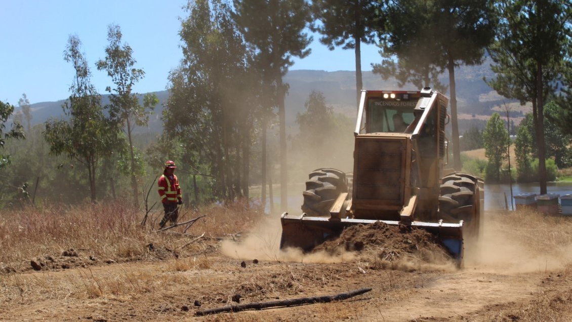 Conaf registra 90% de avance en cortafuegos contra incendios forestales en Ñuble