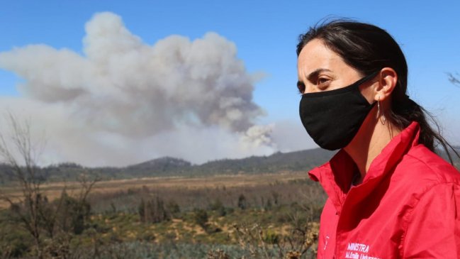 Gobierno no zanja aún su postura ante proyecto que prohíbe cambiar el uso de suelo tras un incendio forestal