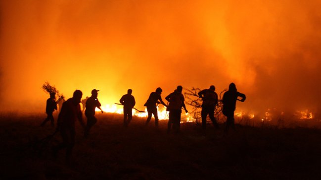 Alertan a agricultores de Ñuble por seguidilla de incendios originados en cosechas