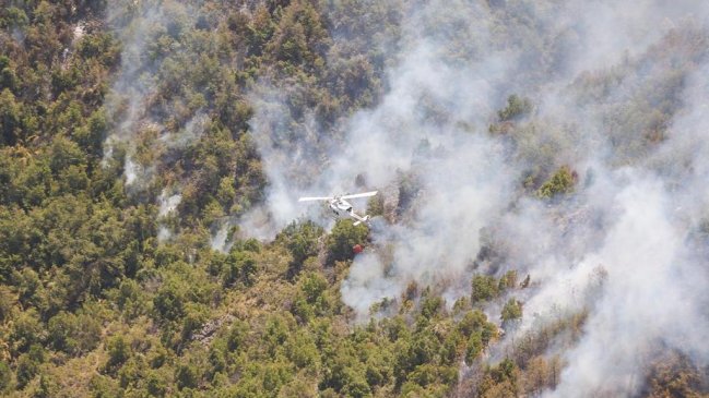 Alerta Roja por incendio forestal en Chanco que amenaza reserva nacional