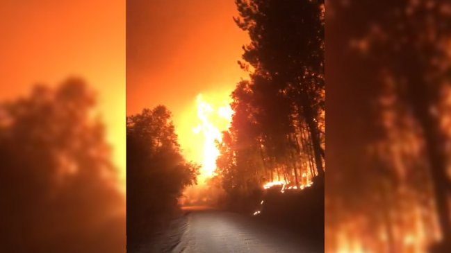 Incendio forestal en Nacimiento: Onemi solicitó evacuar sectores de Palihue y Las Corrientes