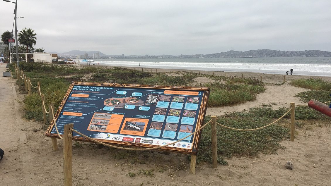 Dunas costeras de La Serena y Coquimbo serán protegidas en zonas pobladas