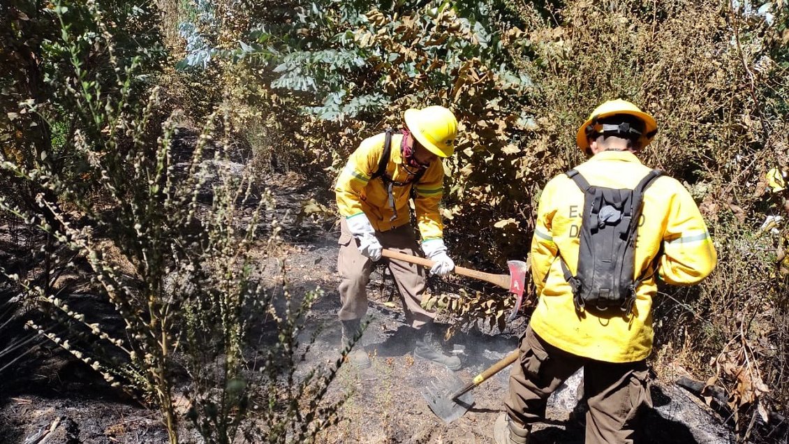 Humo de incendio forestal se posó sobre el Gran Concepción
