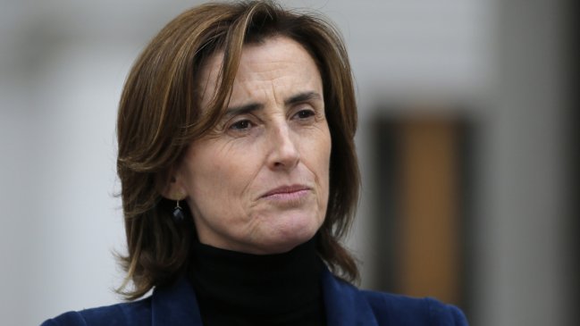 Los ex ministros y ex parlamentarios que competirán para ser constituyentes