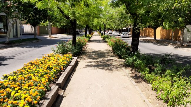 Juan Castro (RN) a ministro de Salud: El daño que está ocasionando a los habitantes de Talca, es brutal