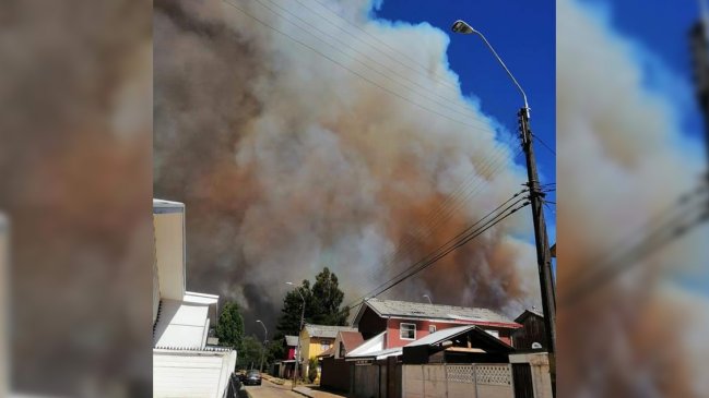 Alerta roja por incendio forestal en Collipulli y Ercilla: Al menos tres viviendas afectadas