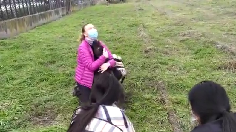 Perrito desapareció tras explosión en Madrid y tuvo emotivo reencuentro con su familia