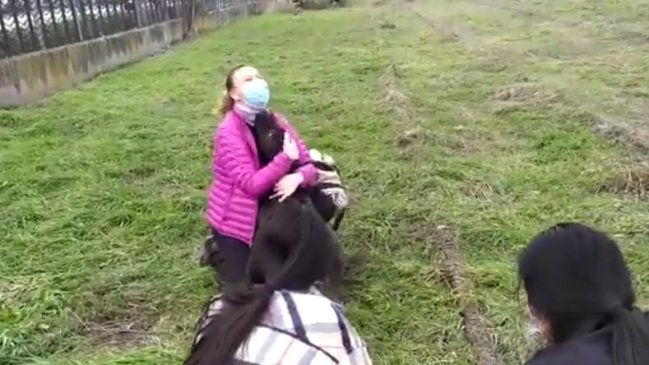 Perrito desapareció tras explosión en Madrid y tuvo emotivo reencuentro con su familia