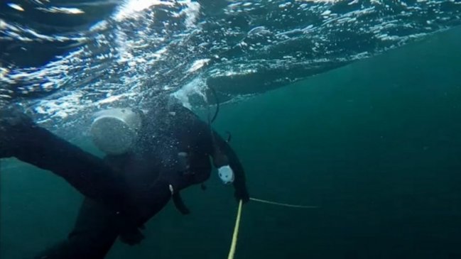 Investigan muerte de adolescente durante faenas de buceo en Aysén