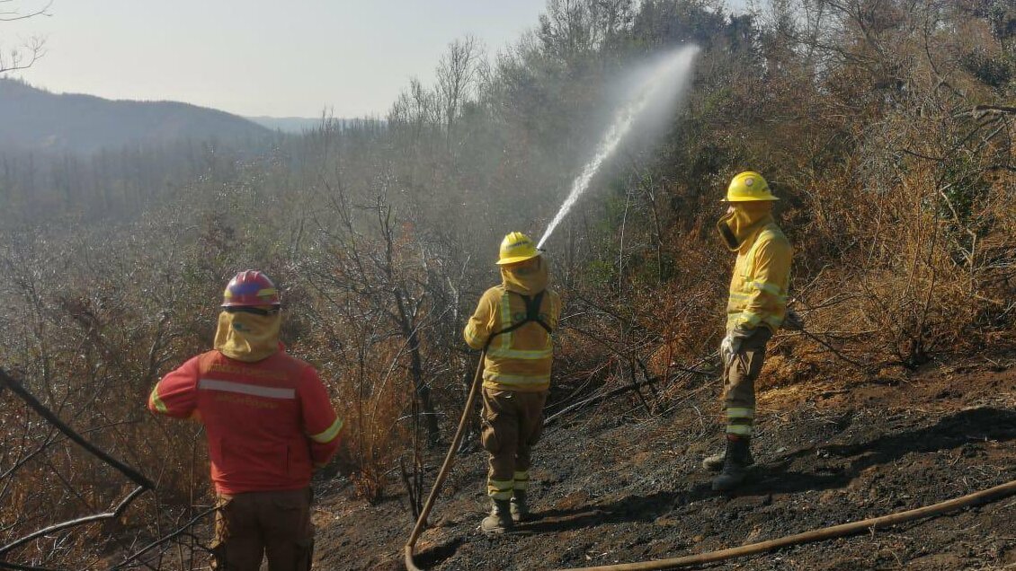 Balance incendios forestales: Cerca de 4 mil siniestros, pero un 40% menos de superficie afectada