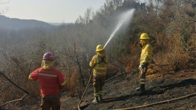 Balance incendios forestales: Cerca de 4 mil siniestros, pero un 40% menos de superficie afectada