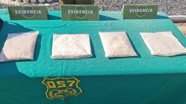Perro antidrogas detectó equipaje con cuatro kilos de cocaína en bus que se dirigía a Concepción