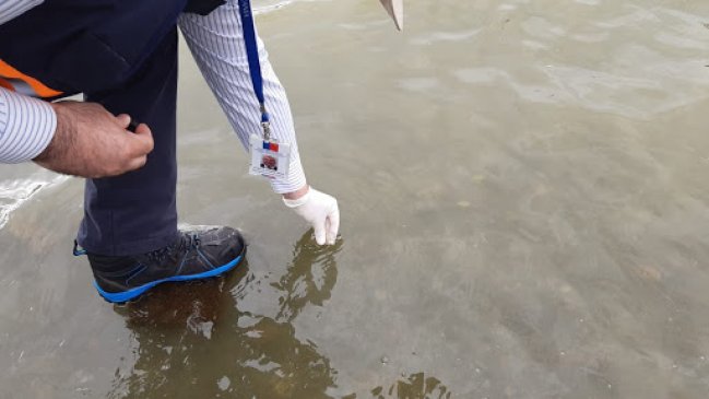 Comenzó proceso de participación ciudadana en Plan de Descontaminación del Lago Villarrica