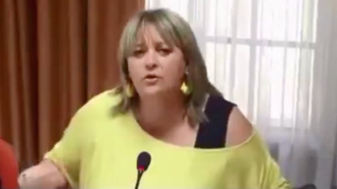 Polémica concejala RN chocó sin salvoconducto y cayó a una zanja