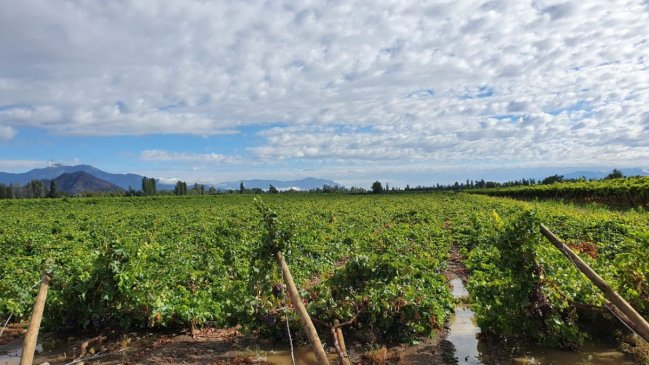 Productores de fruta piden adaptar el Fogape 2 tras 