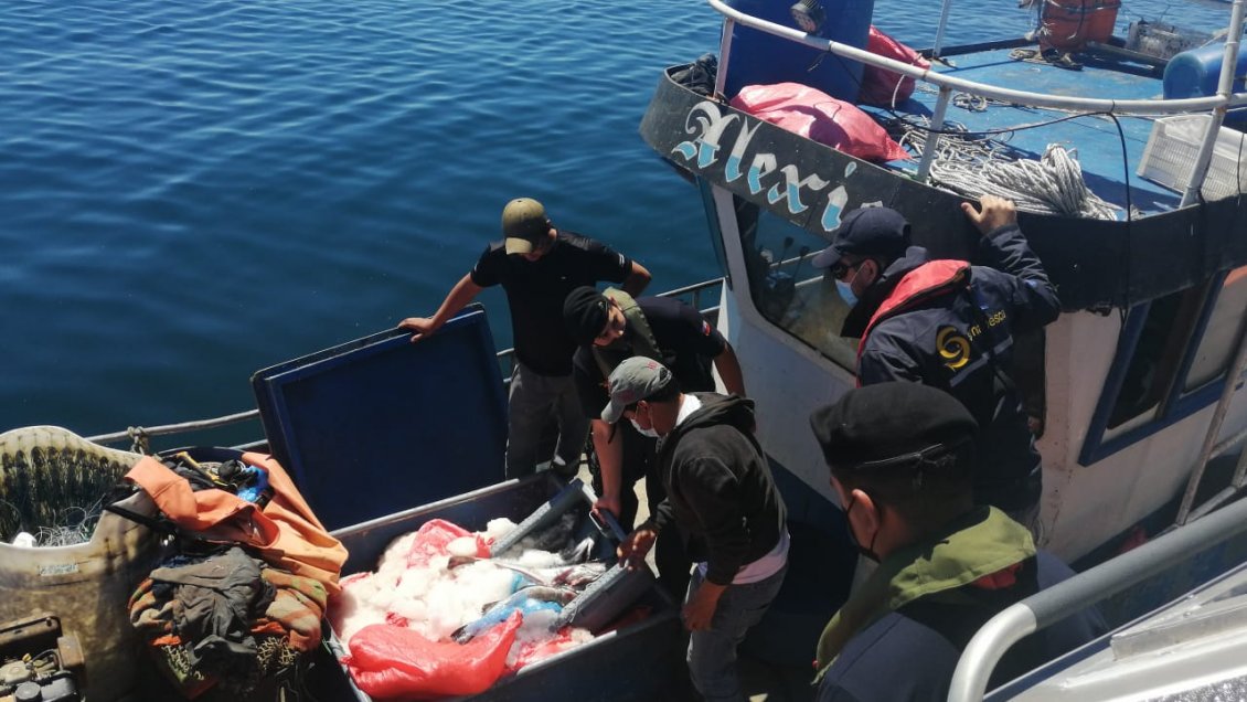 Aysén: Incautan 1.500 kilos de merluza ilegal a bordo de dos embarcaciones