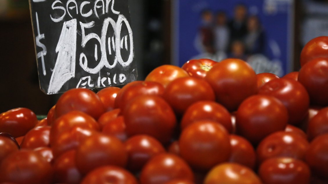 Daños en cultivos: Ministra de Agricultura descartó alza de precios tras sistema frontal