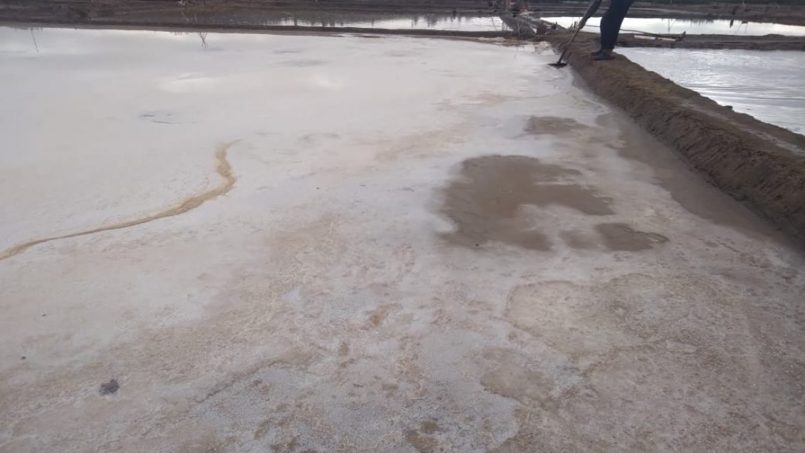 Salineros de Vichuquén perdieron el 80 por ciento de sus cosechas tras lluvias en el Maule