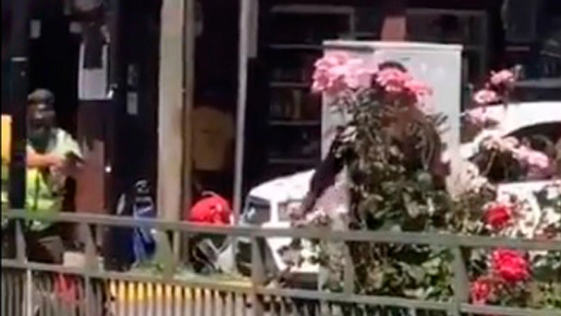 Fiscalía investiga muerte de joven que se resistió a control de Carabineros en Panguipulli